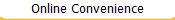 Online Convenience